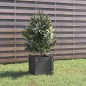 vidaXL Jardinera de madera maciza de pino gris 31x31x31 cm vidaXL Jardinera de madera maciza de pino gris 31x31x31 cm