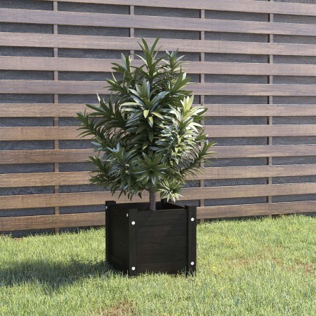 vidaXL Jardinera de madera maciza de pino negro 31x31x31 cm 