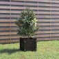 vidaXL Jardinera de madera maciza de pino negro 31x31x31 cm vidaXL Jardinera de madera maciza de pino negro 31x31x31 cm