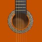 vidaXL Guitarra clásica para principiantes madera tilo negro 4/4 39" vidaXL Guitarra clásica para principiantes madera tilo negro 4/4 39"