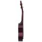 vidaXL Juego de ukelele soprano para niños con funda madera clara 21" vidaXL Juego de ukelele soprano para niños con funda madera clara 21"