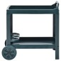 vidaXL Carrito de bebidas plástico verde 69x53x72 cm vidaXL Carrito de bebidas plástico verde 69x53x72 cm