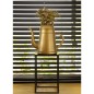 Capi Regadera Xala Lungo 12 L dorado Capi Regadera Xala Lungo 12 L dorado