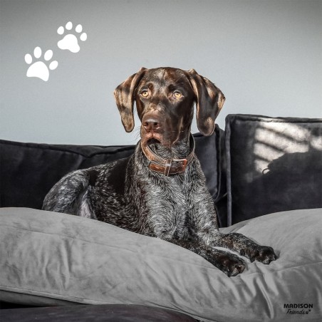 Madison Cojín para perros Velvet gris 80x55x15 cm