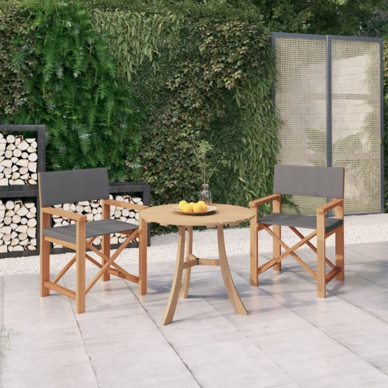 vidaXL Sillas de director 2 uds madera maciza de teca gris