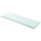 vidaXL Estantes 2 unidades panel de vidrio transparente 100x30 cm vidaXL Estantes 2 unidades panel de vidrio transparente 100x30 cm