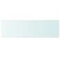 vidaXL Estantes 2 unidades panel de vidrio transparente 100x30 cm vidaXL Estantes 2 unidades panel de vidrio transparente 100x30 cm