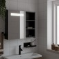 vidaXL Mueble de baño con espejo y luz LED negro 60x13x52 cm vidaXL Mueble de baño con espejo y luz LED negro 60x13x52 cm