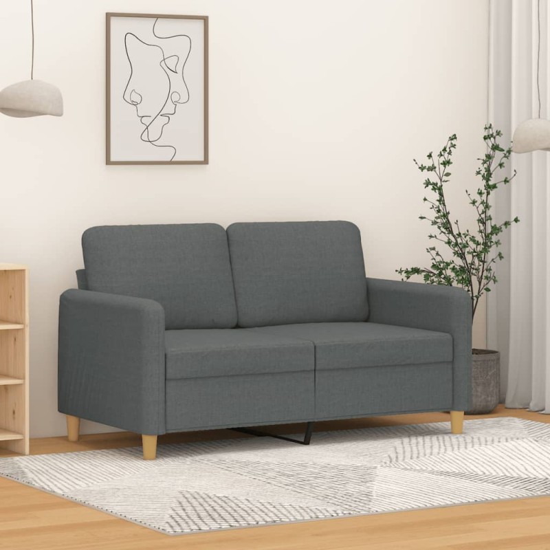 vidaXL Sofá de 2 plazas de tela gris oscuro 120 cm