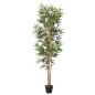vidaXL Árbol de bambú artificial con 368 hojas verde 80 cm vidaXL Árbol de bambú artificial con 368 hojas verde 80 cm