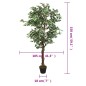 vidaXL Árbol ficus artificial con 756 hojas verde 150 cm vidaXL Árbol ficus artificial con 756 hojas verde 150 cm
