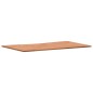 vidaXL Tablero de escritorio madera maciza de haya 100x(55-60)x1,5 cm vidaXL Tablero de escritorio madera maciza de haya 100x(55-60)x1,5 cm