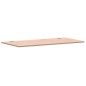 vidaXL Tablero de escritorio madera maciza de haya 100x50x1,5 cm