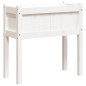 vidaXL Jardineras exterior con patas 2 uds madera maciza pino blanco