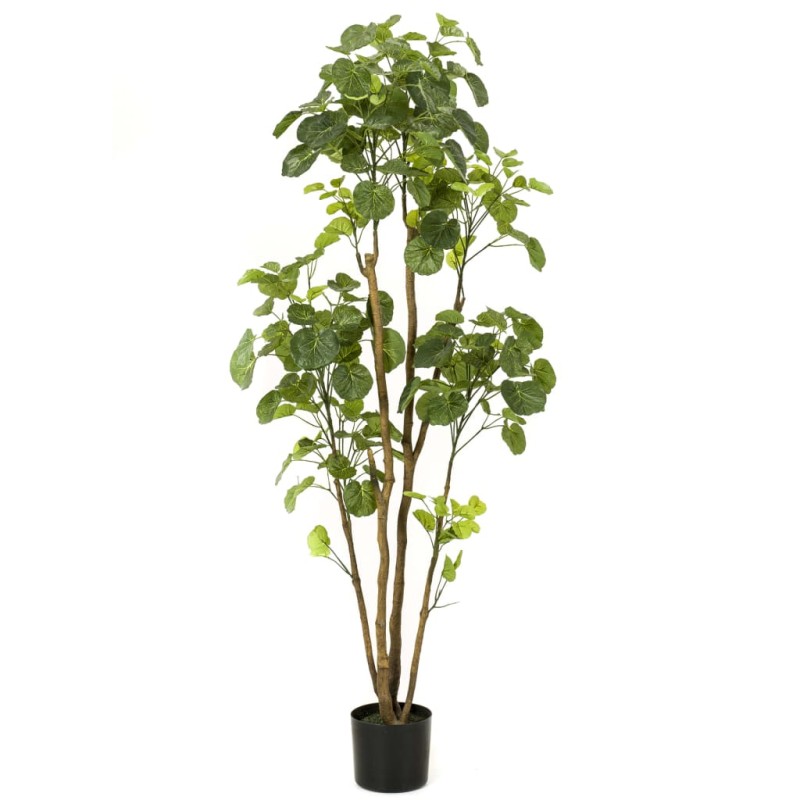 Emerald Polyscias artificial con maceta 160 cm Emerald Polyscias artificial con maceta 160 cm