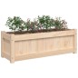 vidaXL Jardineras de exterior 2 unidades madera maciza de pino vidaXL Jardineras de exterior 2 unidades madera maciza de pino