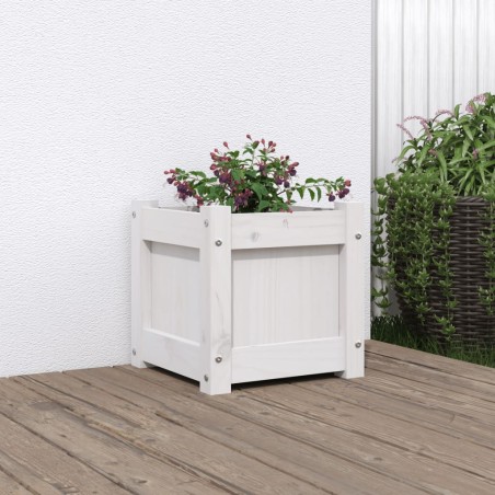 vidaXL Jardinera de madera maciza de pino blanca 31x31x31 cm