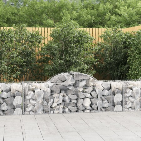vidaXL Cestas de gaviones 40 uds forma de arco hierro 200x50x60/80 cm