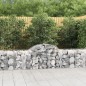 vidaXL Cestas de gaviones 40 uds forma de arco hierro 200x50x60/80 cm