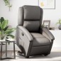 vidaXL Sillón reclinable elevable cuero auténtico gris vidaXL Sillón reclinable elevable cuero auténtico gris