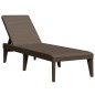 vidaXL Tumbona de PP marrón 186x60x29 cm