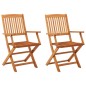 vidaXL Sillas de jardín plegables 2 pzas madera maciza de eucalipto vidaXL Sillas de jardín plegables 2 pzas madera maciza de eucalipto