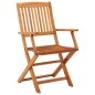 vidaXL Sillas de jardín plegables 2 pzas madera maciza de eucalipto vidaXL Sillas de jardín plegables 2 pzas madera maciza de eucalipto