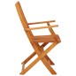 vidaXL Sillas de jardín plegables 2 pzas madera maciza de eucalipto vidaXL Sillas de jardín plegables 2 pzas madera maciza de eucalipto