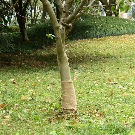 vidaXL Rollo de yute 0,25x50 m 100% yute 200 gsm