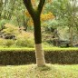 vidaXL Rollo de yute 1x10 m 100% yute 200 gsm vidaXL Rollo de yute 1x10 m 100% yute 200 gsm