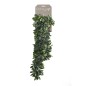 Emerald Planta Crassula artificial 80 cm Emerald Planta Crassula artificial 80 cm