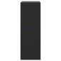 vidaXL Zapatero de madera de ingeniería negro 60x34x96,5 cm vidaXL Zapatero de madera de ingeniería negro 60x34x96,5 cm