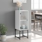 vidaXL Armario auxiliar con puerta de vidrio blanco 35x37x100 cm vidaXL Armario auxiliar con puerta de vidrio blanco 35x37x100 cm