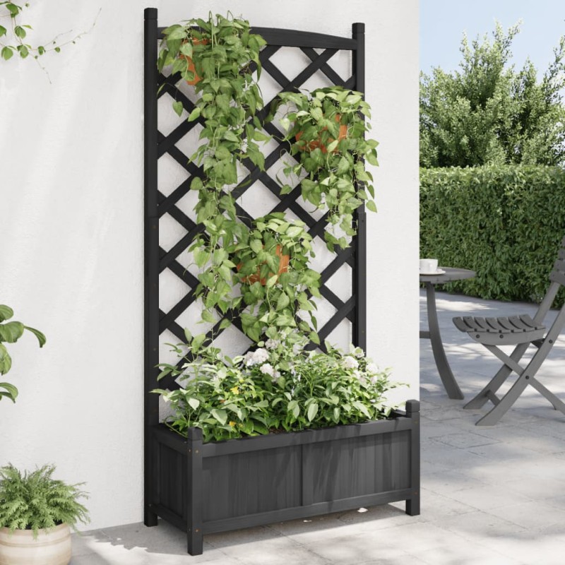 vidaXL Jardinera con enrejado madera maciza de abeto negro vidaXL Jardinera con enrejado madera maciza de abeto negro