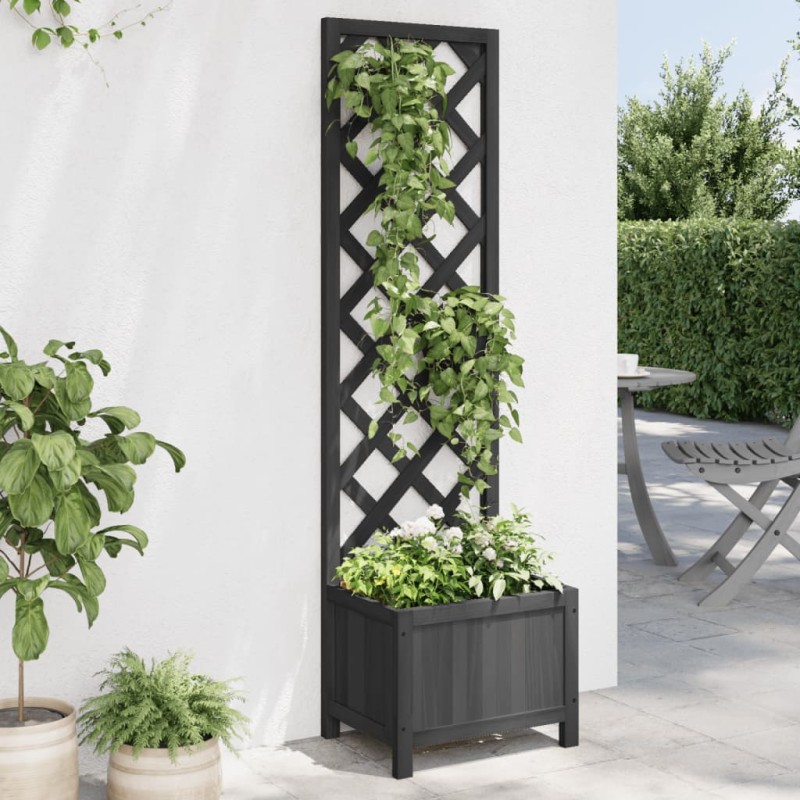 vidaXL Jardinera con enrejado madera maciza de abeto negro vidaXL Jardinera con enrejado madera maciza de abeto negro