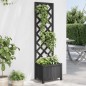 vidaXL Jardinera con enrejado madera maciza de abeto negro vidaXL Jardinera con enrejado madera maciza de abeto negro