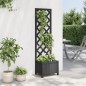 vidaXL Jardinera con enrejado madera maciza de abeto negro vidaXL Jardinera con enrejado madera maciza de abeto negro