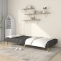 vidaXL Sofá cama de 2 plazas tela gris oscuro vidaXL Sofá cama de 2 plazas tela gris oscuro