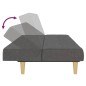 vidaXL Sofá cama de 2 plazas tela gris oscuro vidaXL Sofá cama de 2 plazas tela gris oscuro
