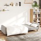vidaXL Sofá cama de 2 plazas terciopelo gris claro vidaXL Sofá cama de 2 plazas terciopelo gris claro