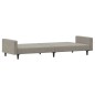 vidaXL Sofá cama de 2 plazas terciopelo gris claro vidaXL Sofá cama de 2 plazas terciopelo gris claro