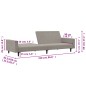 vidaXL Sofá cama de 2 plazas terciopelo gris claro vidaXL Sofá cama de 2 plazas terciopelo gris claro