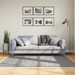 vidaXL Alfombra peluda de pelo largo moderna PAMPLONA gris 160x160 cm