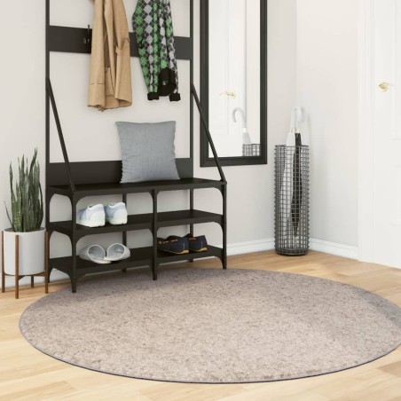 vidaXL Alfombra peluda de pelo largo moderna PAMPLONA beige Ø 160 cm