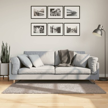 vidaXL Alfombra peluda de pelo largo moderna PAMPLONA beige 80x150 cm
