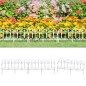 vidaXL Borduras de jardín 17 unidades PP blanco 10 m vidaXL Borduras de jardín 17 unidades PP blanco 10 m