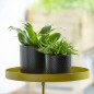 Esschert Design Bandeja para plantas con abrazadera redonda dorada L Esschert Design Bandeja para plantas con abrazadera redonda dorada L