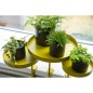 Esschert Design Bandeja para plantas con abrazadera redonda dorada L Esschert Design Bandeja para plantas con abrazadera redonda dorada L