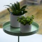 Esschert Design Bandeja para plantas con abrazadera redonda verde L Esschert Design Bandeja para plantas con abrazadera redonda verde L