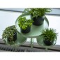 Esschert Design Bandeja para plantas con abrazadera redonda verde L Esschert Design Bandeja para plantas con abrazadera redonda verde L